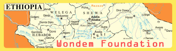 Wondem Foundation